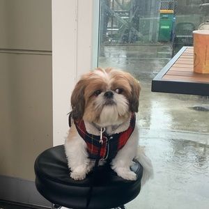 Meet your Posher, Ryan